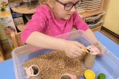 IMG_20260112_070309775_AE