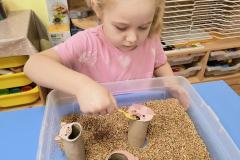 IMG_20260112_071358682_AE