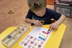 IMG_20260112_072917482_AE