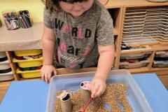 IMG_20260112_072922833_AE