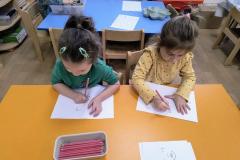 IMG_20260112_075728229_AE