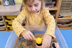 IMG_20260112_083022005_AE