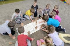 IMG_20260113_095049143_HDR_AE