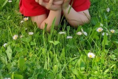 IMG_20210602_100447