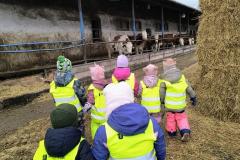 IMG_20260224_110249893_AE