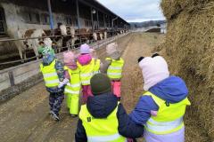 IMG_20260224_110255004_AE