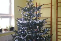 IMG_20191218_102500