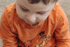IMG_20241219_103339