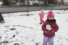 IMG_20250124_103108