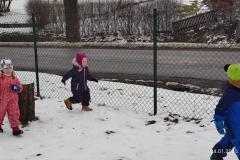 IMG_20250124_103138