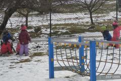 IMG_20250124_105031