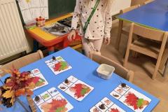 IMG_20250922_064428365_AE