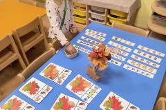 IMG_20250922_064556591_AE