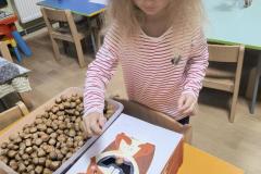 IMG_20250924_070216256_HDR_AE