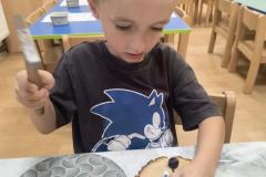 IMG_20250924_070637884_AE