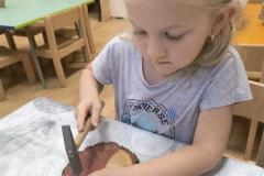 IMG_20250924_070649148_AE