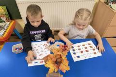 IMG_20250924_072842155_AE