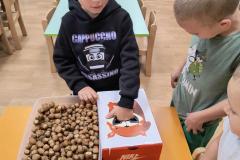 IMG_20250924_073538441_HDR_AE