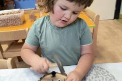 IMG_20250924_073835930_AE