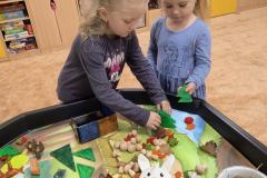 IMG_20250925_075737605_AE