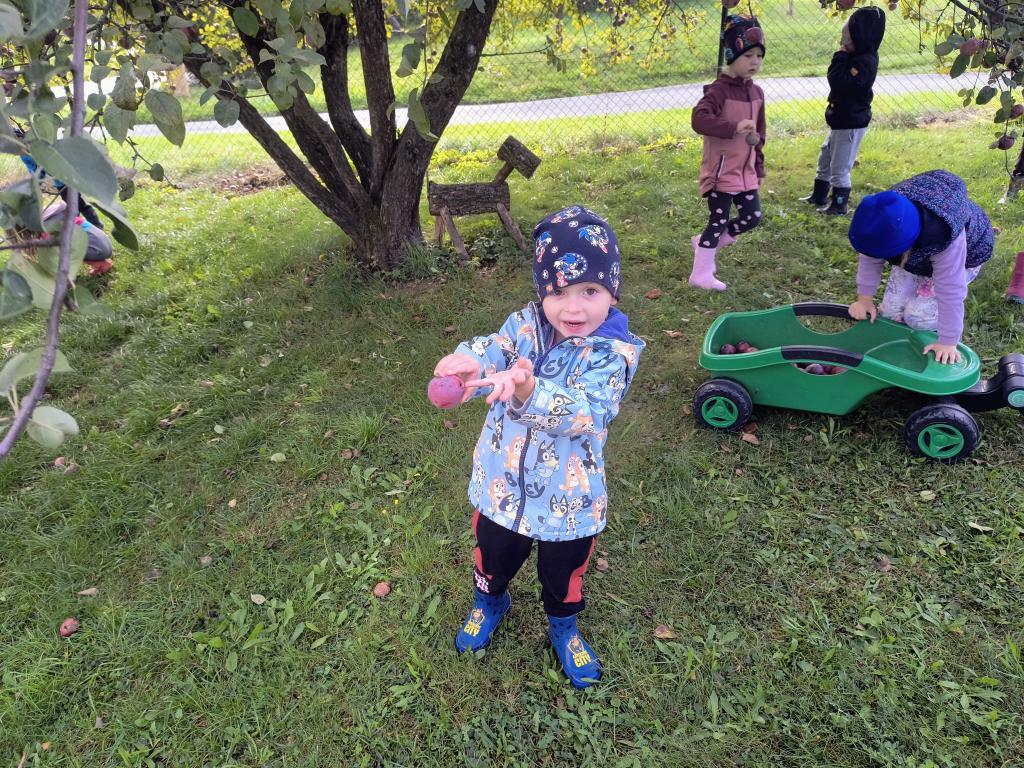 IMG_20260921_101438640_AE