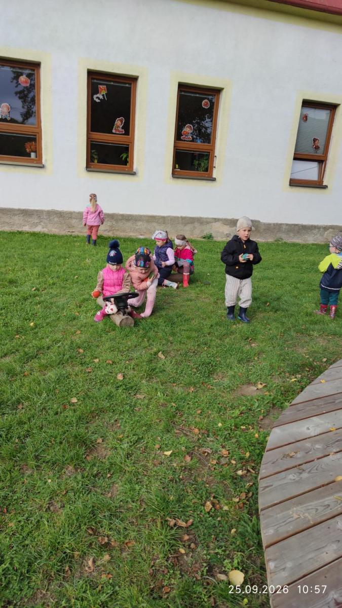 IMG_20260925_105749