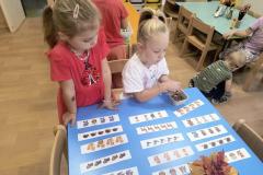 IMG_20260922_065906524_AE