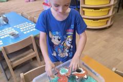 IMG_20260922_072652693_AE