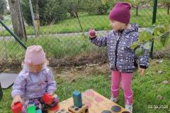 IMG_20260922_104926