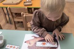 IMG_20260924_070204781_AE