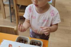 IMG_20260924_074623