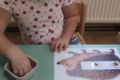 IMG_20260924_075242