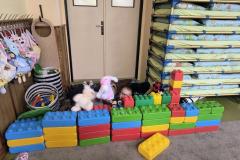 IMG_20260925_074206032_AE