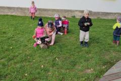 IMG_20260925_105749