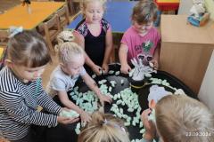 IMG_20240923_074327