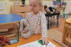 IMG_20240925_070704