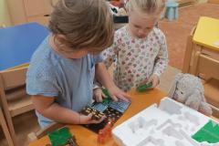 IMG_20240925_070855