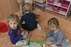 IMG_20240925_075451