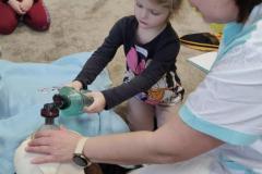 IMG_20250206_085252
