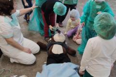 IMG_20250206_091457
