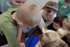 IMG_20250206_093239