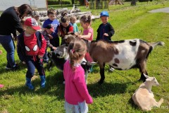 IMG_20210602_095219