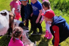 IMG_20210602_095237
