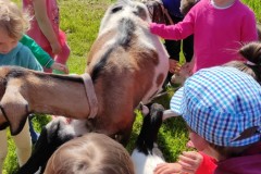 IMG_20210602_095245