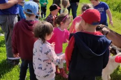 IMG_20210602_095330