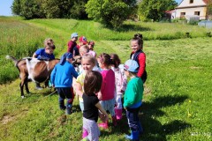IMG_20210602_095352