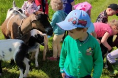 IMG_20210602_095404