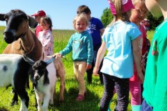 IMG_20210602_095408