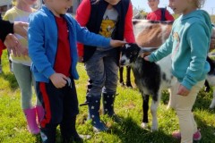 IMG_20210602_095428