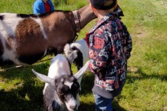 IMG_20210602_095502